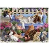 Image de Puzzle 1000 pièces : Une vie de chat