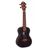 Image de RUEB-CC - Ukulele concert Ebene