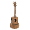 Image de Ortéga LIZARD-CC-GB - Ukulele électroacoustique Concert Lizard