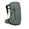 Image de Osprey - Sportlite 30 - Sac à dos randonnée Pine Leaf Green - S/M
