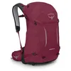 Image de Osprey Hikelite Unisexe Sac à dos, 28L, Chameleon/Black, S/M en occasion ou reconditionné