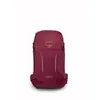 Image de Osprey - Hikelite 28 - Sac à dos randonnée Chameleon / Black - M / L
