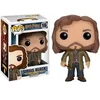Image de Figurine Funko Pop Harry Potter Sirius Black Marron 9 cm 849803065706