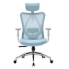 Image de M18 Fauteuil de Bureau Ergonomique, soutien lombaire, accoudoirs réglables, 150kg max. Bleu
