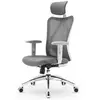 Image de M18 Fauteuil de Bureau Ergonomique, soutien lombaire, accoudoirs réglables, 150kg max. Gris