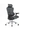 Image de C300 Fauteuil de Bureau Ergonomique, Accoudoirs 3D ultra-doux, Soutien Lombaire Dynamique, Dossier Réglable, Noir