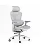 Image de C300 Fauteuil de Bureau Ergonomique, Accoudoirs 3D ultra-doux, Soutien Lombaire Dynamique, Dossier Réglable,Blanc