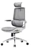 Image de M59AS Fauteuil de Bureau Ergonomique, avec Accoudoirs 3D Relevables, Double Dossier, Maille, Soutien Lombaire Dynamique, Gris