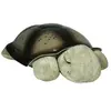 Image de Veilleuse Twilight Turtle Moka