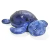 Image de Veilleuse musicale Tranquil Turtle Bleu océan