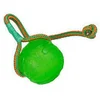 Image de Starmark Balle à Mâcher Swing & Fling M-L