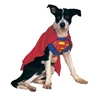 Image de Costume SuperDoggy - Superman