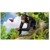 Image de Zoo Tycoon Xbox One allemand