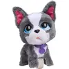 Image de Furreal - Peluche  Grand Marcheur Frenchie Bulldog 23 Cm