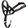 Image de Company Of Animals Collier De Dressage Halti 31-40 cm