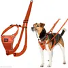 Image de Company Of Animals Harnais Pour Chien Halti No Pull L