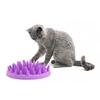 Image de Gamelle The Compagny Of Animals Northmate Catch chat