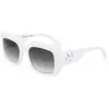 Image de Longchamp Lunettes De Soleil Pour Femme 753s
