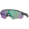 Image de Oakley - Radar EV Path - Lunettes de soleil Steel - Prizm Road Jade Cat 3