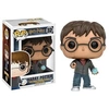Image de Figurine Pop Harry Potter avec Prophétie 10 cm