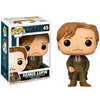 Image de Figurine Funko POP Harry Potter Remus Lupin Vert 9 cm 889698149396