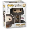 Image de Funko Pop! HP: - 6" Rubeus Hagrid with Cake - Harry Potter- Figurine en Vinyle à Collectionner - Idée de Cadeau - Produits Officiels - Jouets pour Les Enfants et Adultes - Movies Fans en occasion ou reconditionné