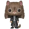 Image de Figurine Funko Pop Saison 5 Hermione As Cat