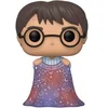 Image de Figurine de collection en vinyle Funko Harry Potter POP Movies Harry w/Invisibility Cloak Beige 9 cm FK48063