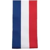 Image de Echarpe Du Maire Tricolore 8Cmx2M