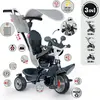 Image de Tricycle Baby Driver Gris