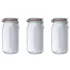 Image de Pack de 3 bocaux 3 L - - Transparent - Verre