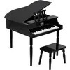 Image de Grand piano à queue noir 30 touches