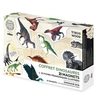 Image de 21 magnets Dinosaures Museum