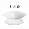 Image de 2 oreillers anti-acariens 60 x 60 cm