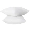 Image de Lot de 2 Oreillers FluffyDream 60 x 60 cm