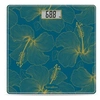 Image de One Flowers Hibiscus Bleu