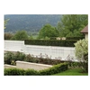 Image de Lanière PVC pour palissade largeur 43 mm x 60 m+100 clips- Blanc -