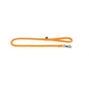 Image de Martin Sellier - Laisse en Nylon Ronde de 1m - Orange