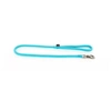 Image de Martin Sellier - Laisse en Nylon Ronde de 1m - Turquoise