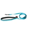 Image de Martin Sellier - Laisse Double en Nylon de 25-60cm pour Chien - Turquoise