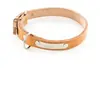 Image de Collier Cuir Pf Plaque 16-40Cm - Martin Sellier
