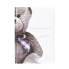 Image de Mon journal de naissance ourson -