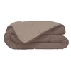 Image de HUDSON Couette legere Microfibre 200g/m2 140x200cm Taupe + Lin
