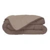 Image de HUDSON Couette legere Microfibre 200g/m2 220x240cm Taupe + Lin
