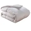 Image de PLEIN CIEL 70% DUVET OIE ET CANARD