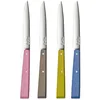 Image de Opinel - Boîte de 4 Couteaux de Table N°125 Bon Appétit Campagne - Lame Acier Inox - Manche Charme - Fabrication Française - Rose, Gris, Tilleul et Azur en occasion ou reconditionné