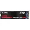 Image de SSD Power Plus X250 - SSD - 256 Go - interne - M.2 2280 - SATA 6Gb/s