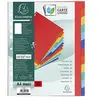 Image de Intercalaires A4+ - 12 positions - Carte lustrée 400g -