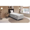 Image de Matelas LE PUISSANT 90x190, ressort ensaches, ferme, H25