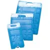 Image de Campingaz Freez Pack M20
